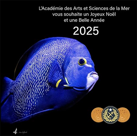 AASMER Voeux 2025